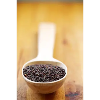 Natural Chia Seed